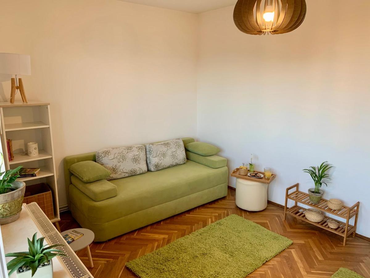 Viktory Apartment Brasov Exterior photo