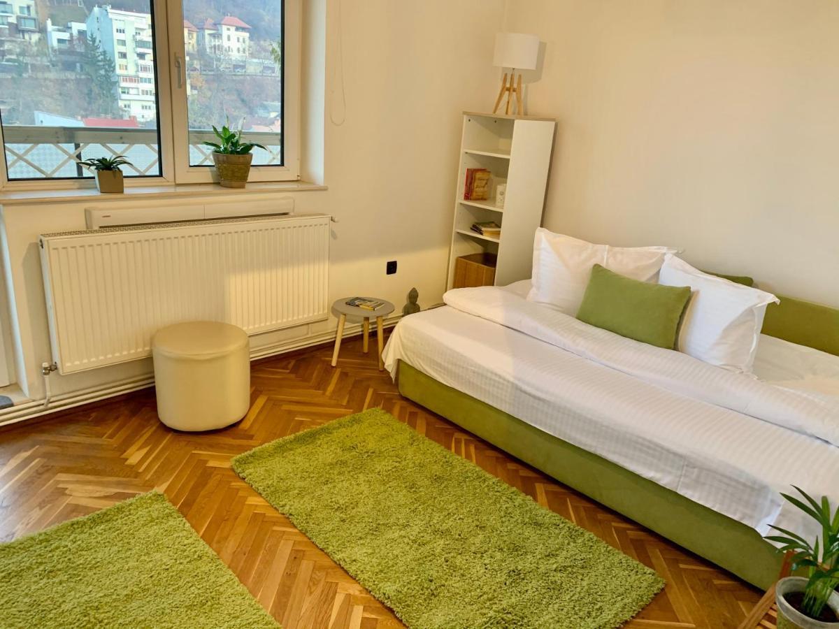 Viktory Apartment Brasov Exterior photo